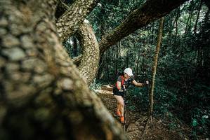 BIB: 
                            <button type="button" onclick="openModal(25705070)" class="btn btn-primary btn-sm float-right btn-popup" data-toggle="modal" data-target=".modal-high-quality">
                        <i class="fas fa-shopping-cart"></i> Add to Cart
                    </button>
                                            <button type="button" onclick="isThisMe(25705070, true)" class="btn btn-success btn-sm float-right btn-popup btn-isme hidden" data-toggle="tooltip" data-placement="bottom" title="นี่คือรูปของคุณใช่ไหม คลิกที่นี่เพื่อเอาเข้าอัลบั้ม">
                        <i class="fas fa-plus"></i> Add to album
                    </button>
                    <button type="button" onclick="isThisMe(25705070, false)" class="btn btn-warning btn-sm float-right btn-popup btn-isnotme hidden">
                        <i class="fas fa-ban"></i> Remove from album
                    </button>